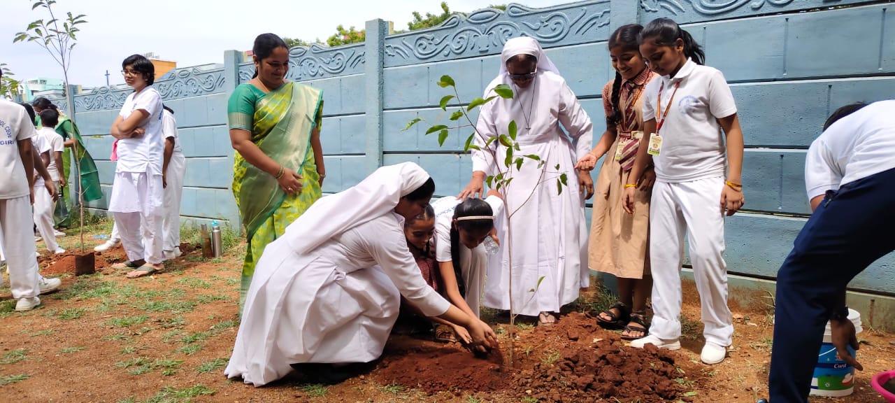 Yoga Day Celebrations